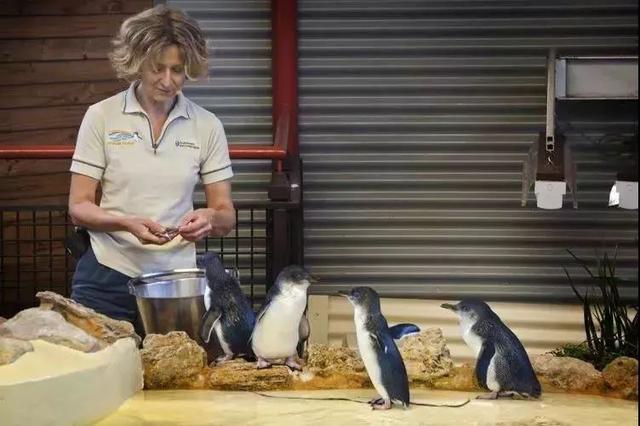 妻子的浪漫旅行第二季取景点,妻子的浪漫旅行2去了哪些地方