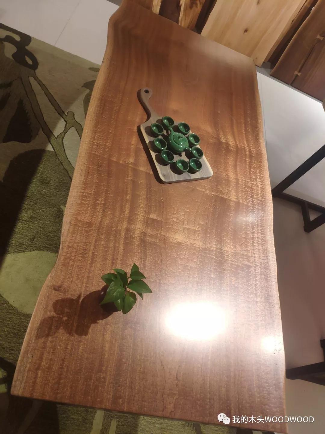 沙比利是什么树木,沙比利树木