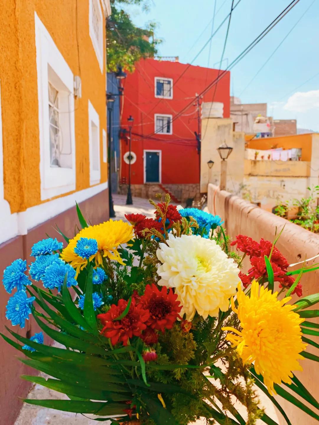 滞留墨西哥的现状,移民墨西哥的悲惨生活