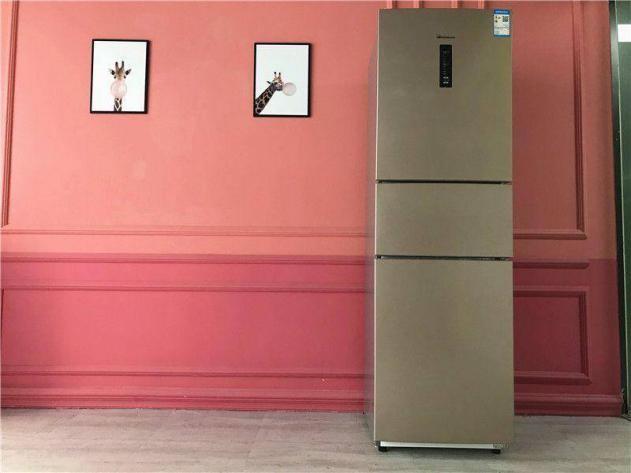 怎么选小天鹅冰箱最好用,小天鹅冰箱测评