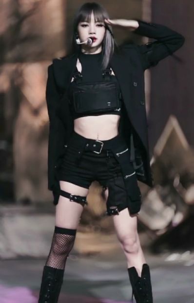 lisa渔网袜造型图片,lisa的袜子