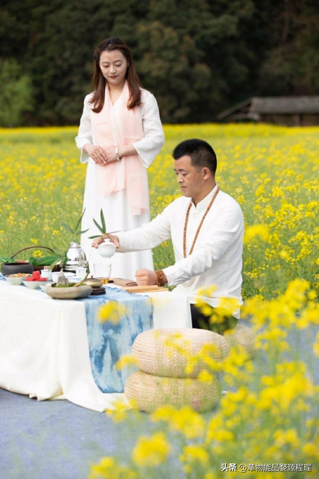 江西婺源油菜花音乐节,婺源油菜花文化节