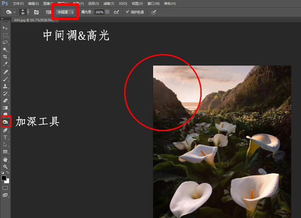 秘籍----移日*法大**