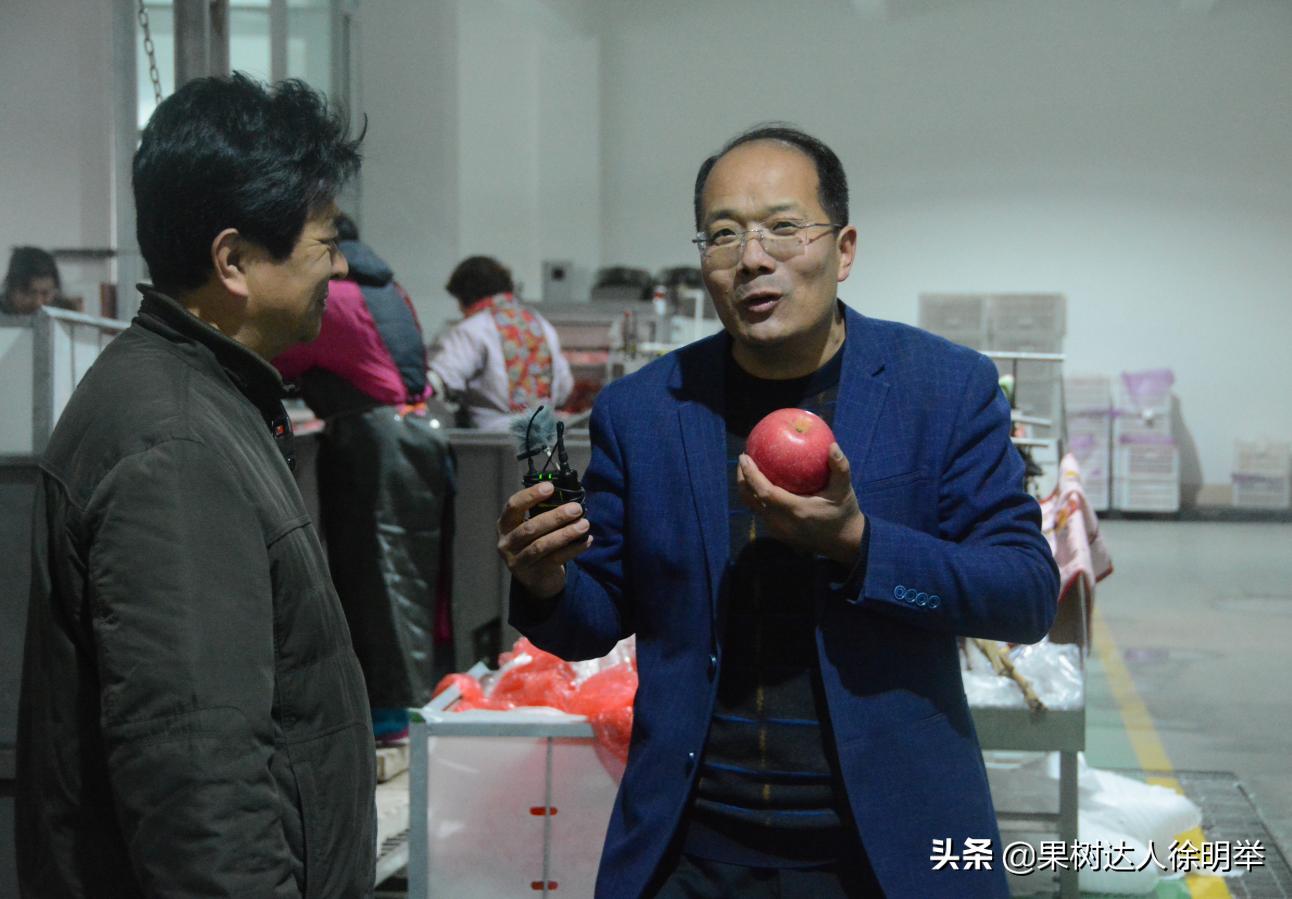 苹果将走出“高价区”，很多专家果农经销商均这么认为，我有同感