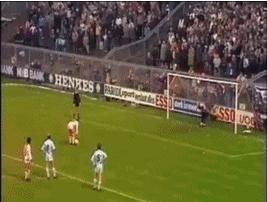 我眼中的荷兰美篇,我眼中的荷兰小练笔