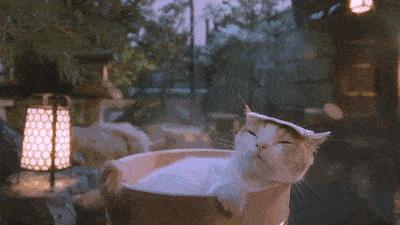 青城后山最好的观山景的民宿,青城山脚下民宿