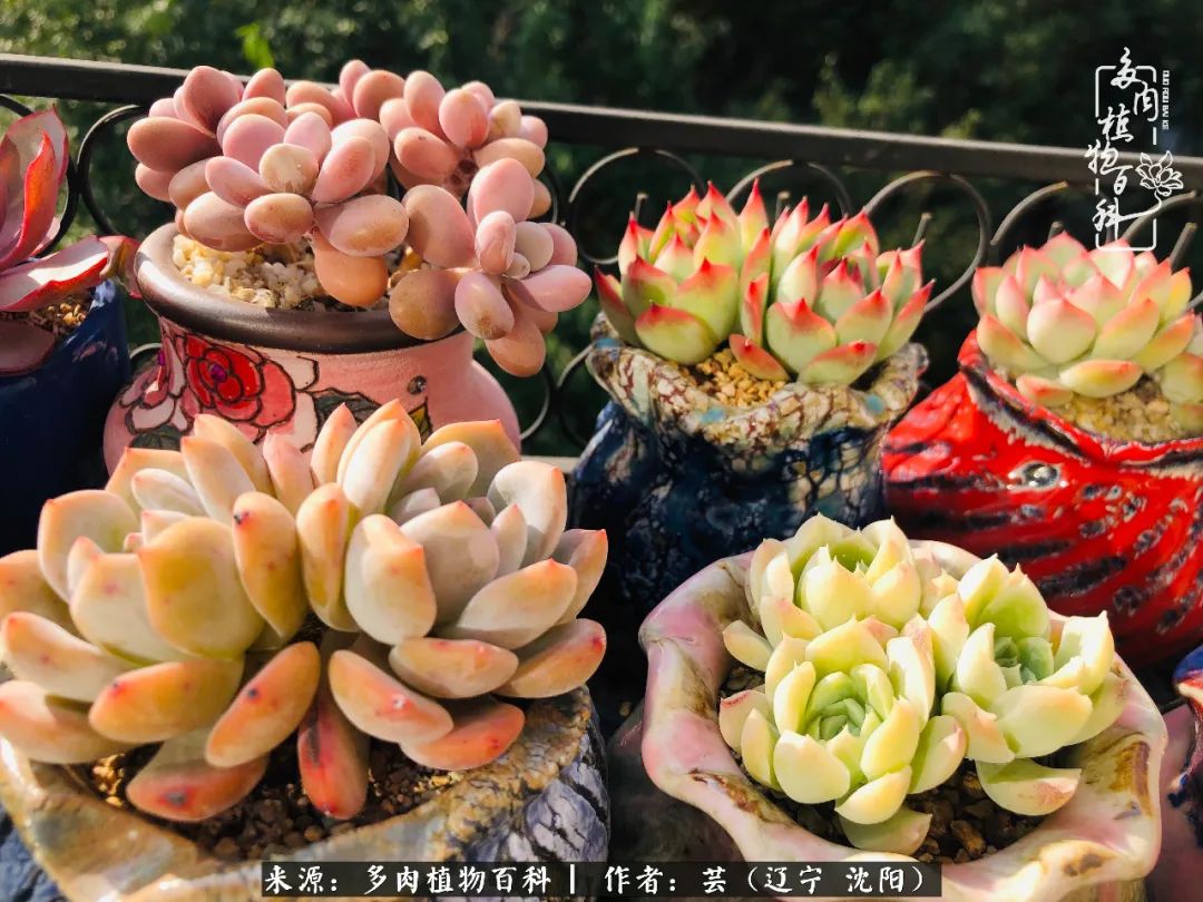 万物皆有灵性有因必有果,万物皆有灵性与生命