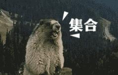 自打有了拼多多，羊毛*党**都不去别家了