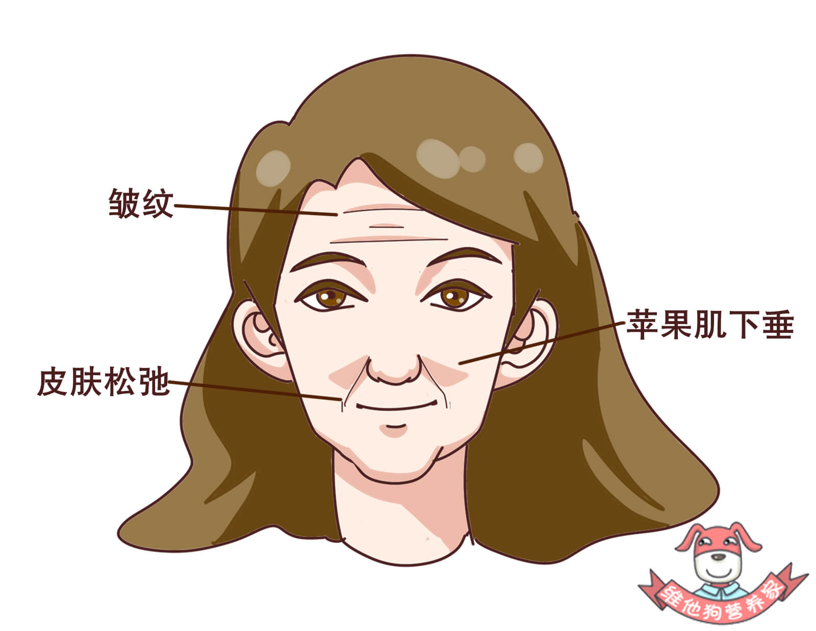 不做医美不打针，如何拥有紧致光滑的肌肤？原来这些食物就可以