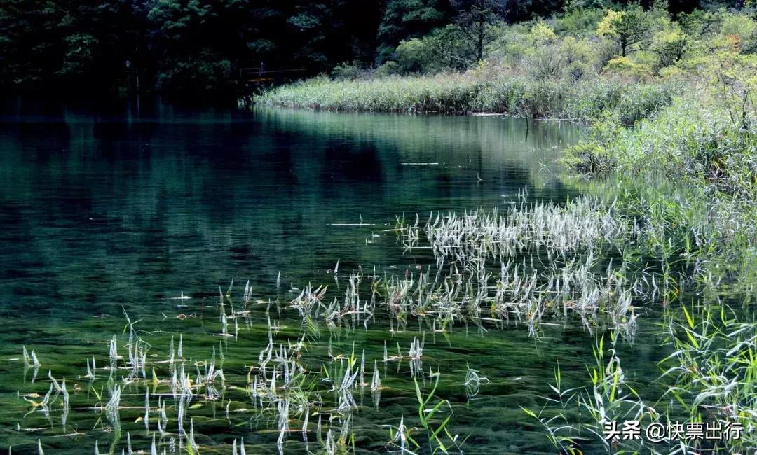 现在的九寨沟还值得去吗,经过一年的休整