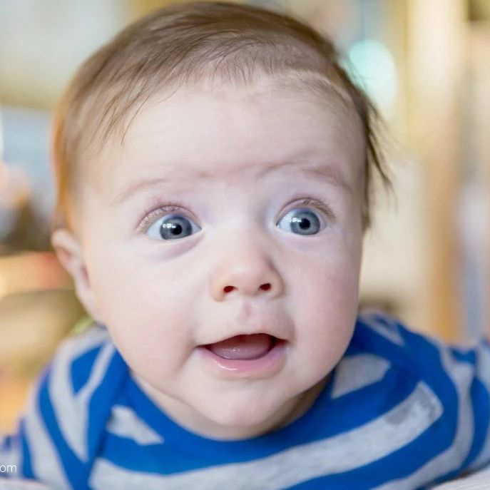 宝宝米粉吃出杂物,宝宝米粉冲调后有黑色细小杂质