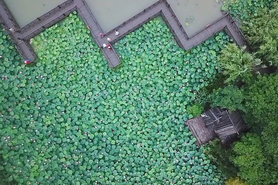 沙家浜旅游民宿有哪些,三月最适合去的最美民宿