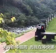 海淘跨境购物知识汇总,跨境电商知识科普