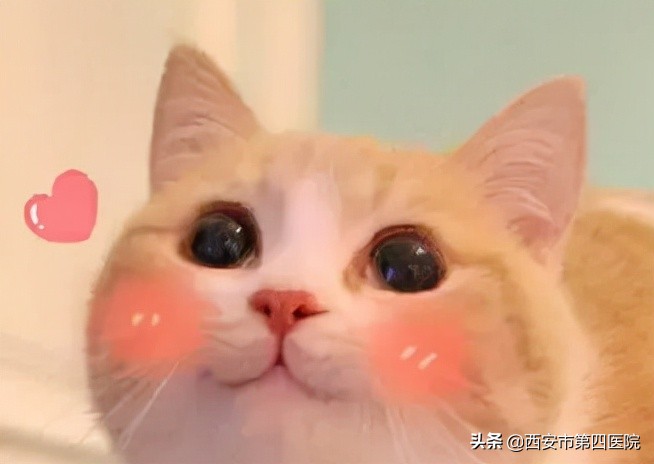 健康中国行动最新消息,健康中国行动2030图解