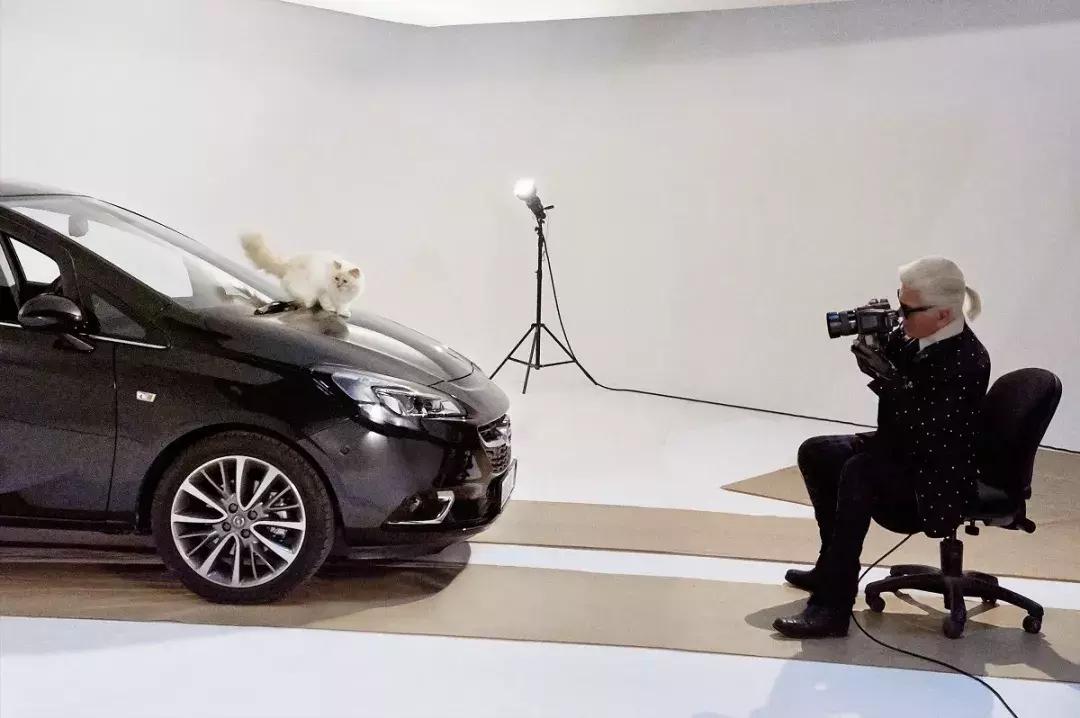 大熊猫一年可以赚钱几个亿,一只猫一年挣3000万