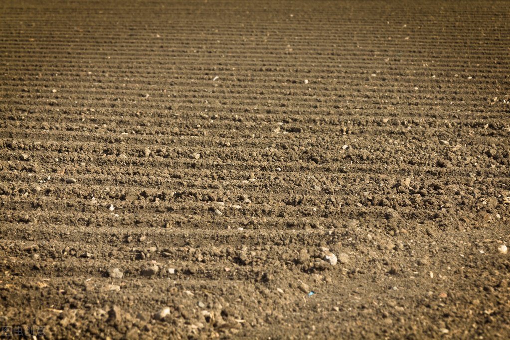 今年秋雨较多的地区有哪些,今年秋雨多是什么现象
