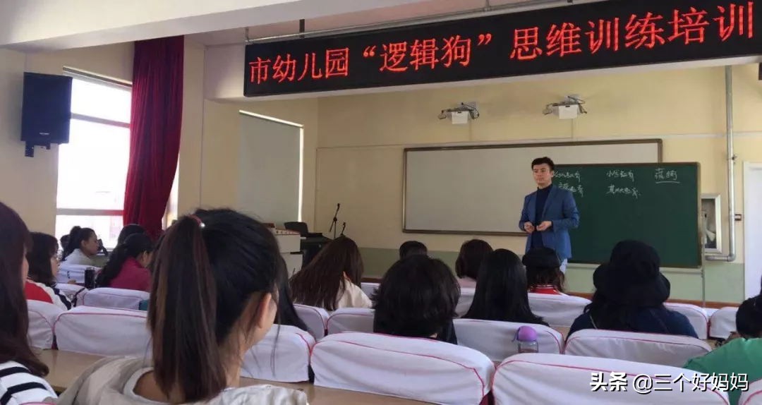 逻辑狗儿童思维训练3-4岁,德国逻辑狗思维训练的好处