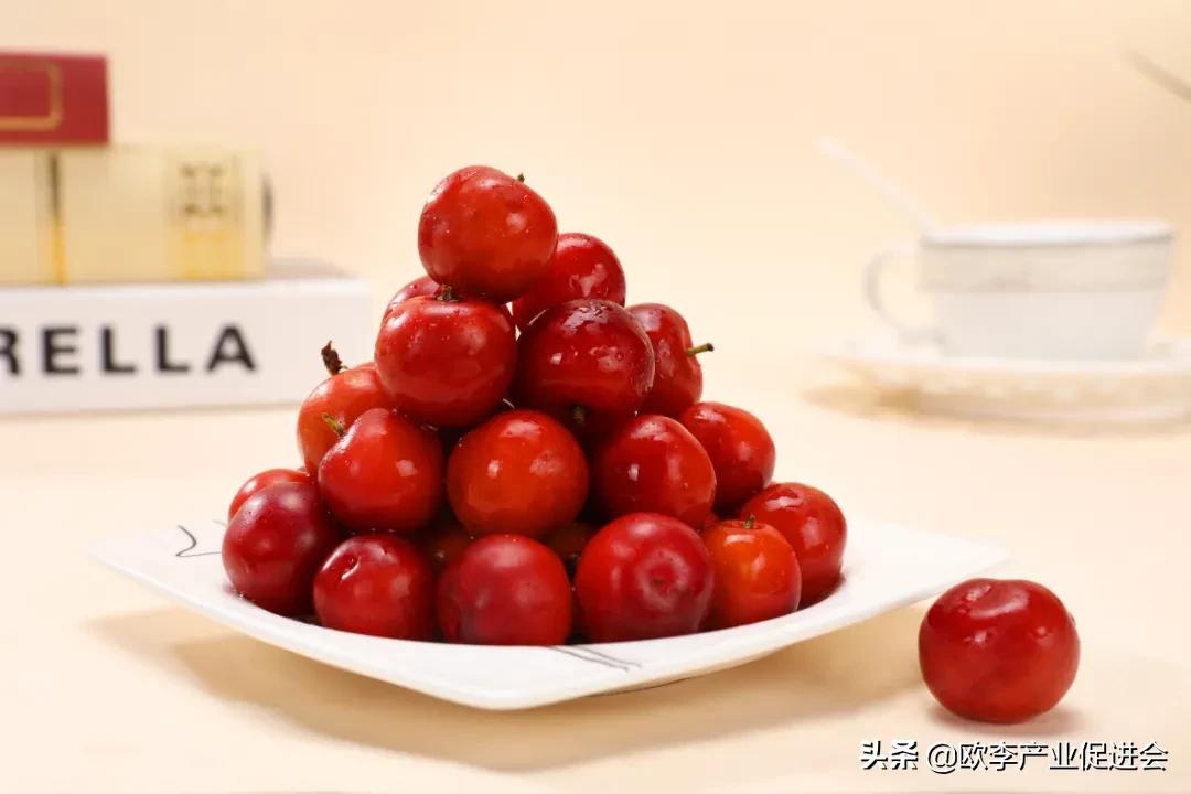 欧李是麻梨吗,欧李是什么水果