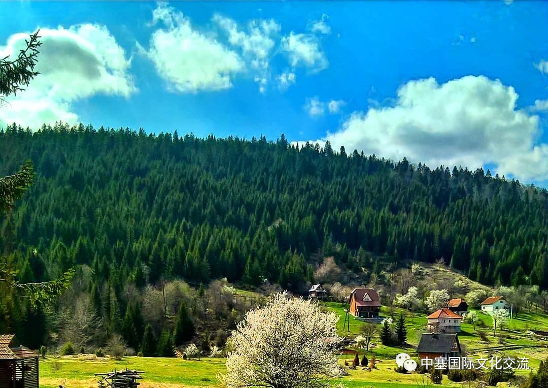 塞尔维亚孤单星球,塞尔维亚十大孤独星球