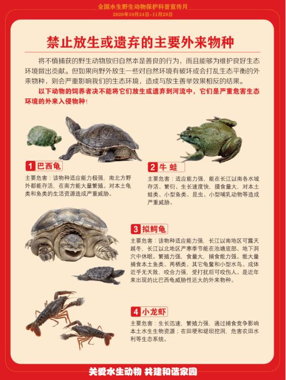 台州钓鱼扔垃圾,浙江台州市钓鱼