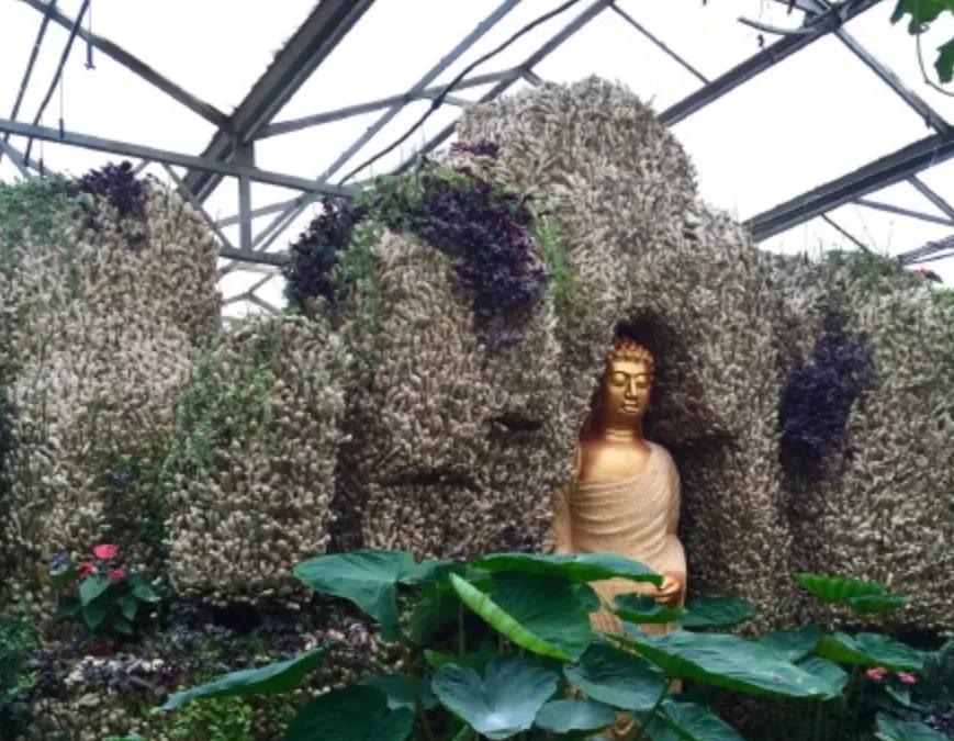 到山东不会饿着你,到山东怎么能不吃煎饼和大馒头呢