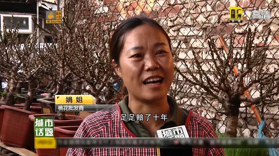 广州将举办迎春花市持续时间,广州迎春花市预约