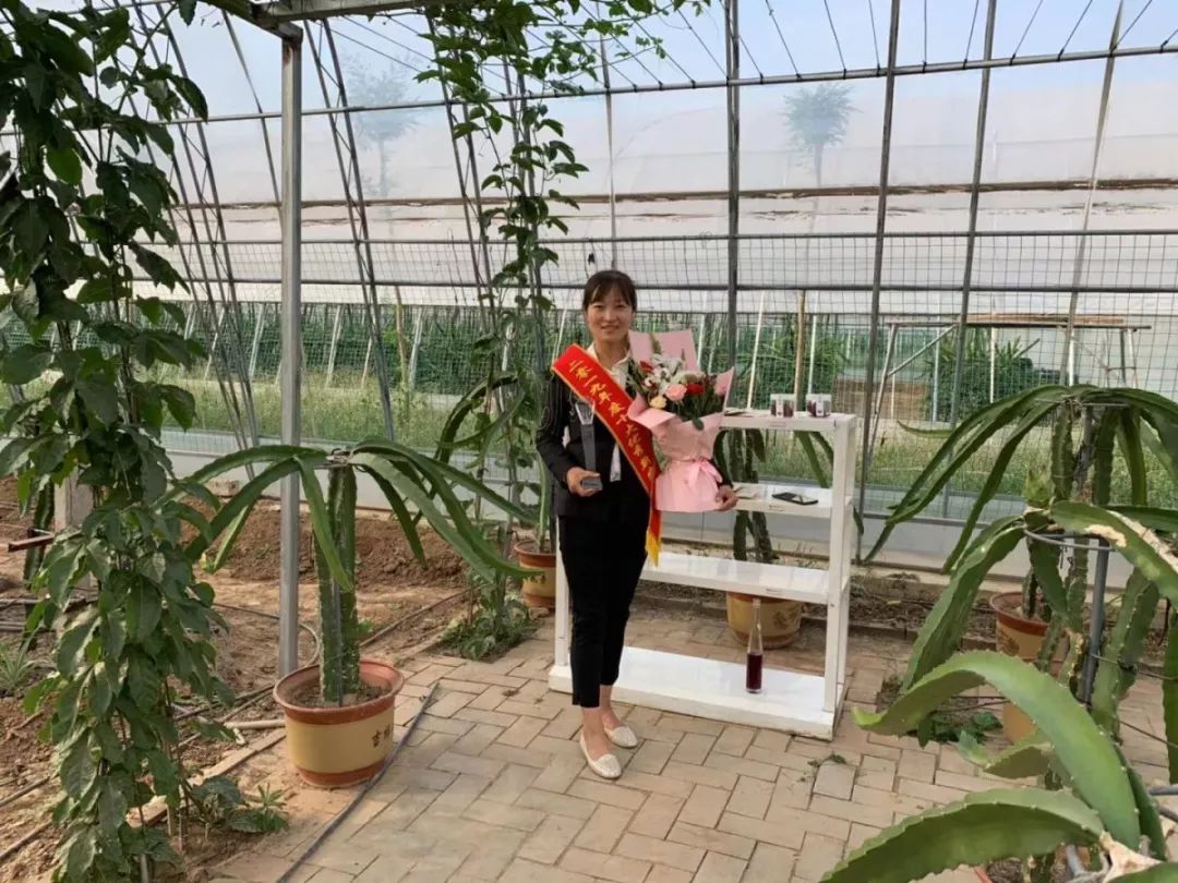 中国四大火龙果种植基地,火龙果最大的种植基地在哪里