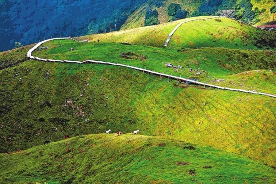 在竹溪河发现宫崎骏里的花海,昆明偶遇宫崎骏世界里的草原