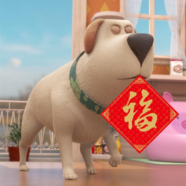 飞狗moco之小柯基的脑洞时刻,飞狗moco和他的小伙伴们