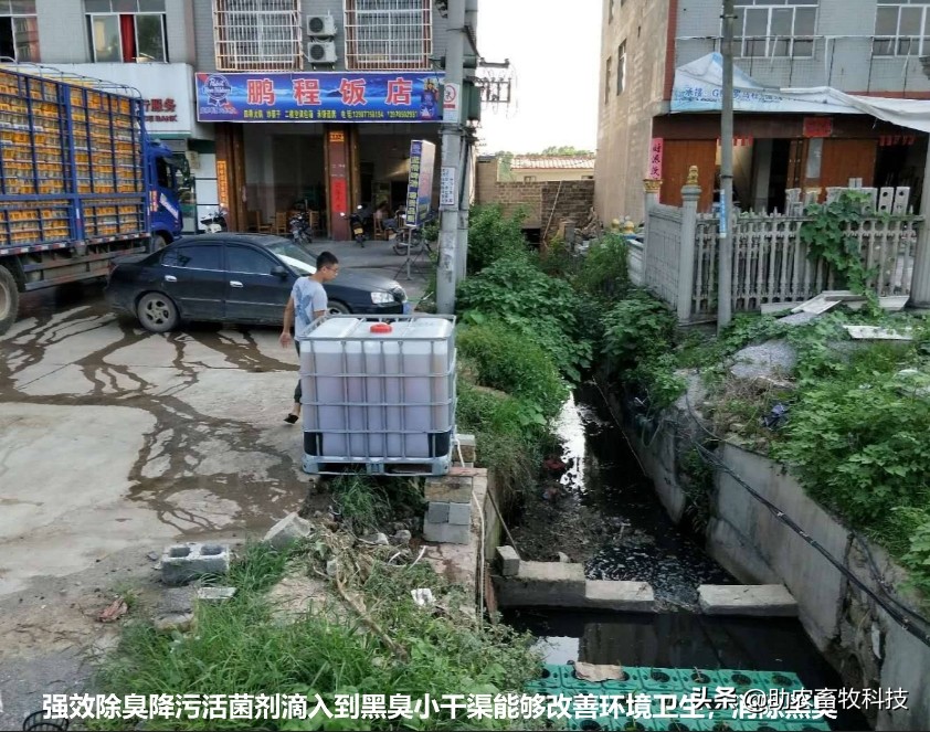 强力除臭除菌剂,脏水处理除臭菌剂厂家推荐