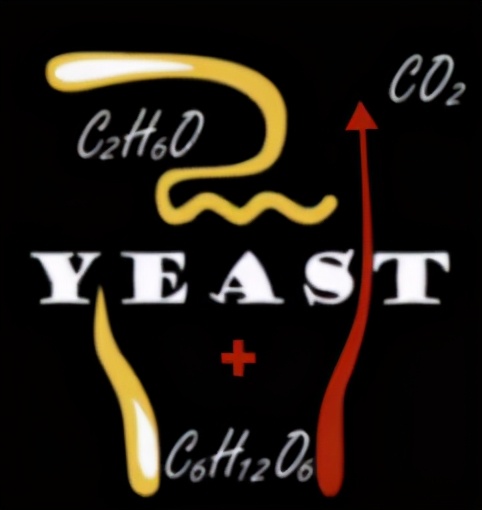 2050世界啤酒大赛,中国啤酒大赛2024