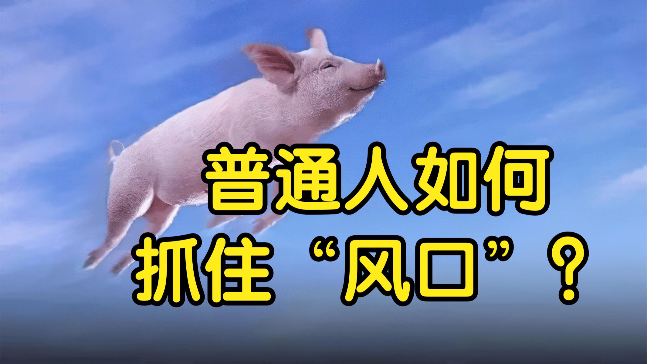 普通人如何抓住经济的风口,普通人如何抓住直播风口