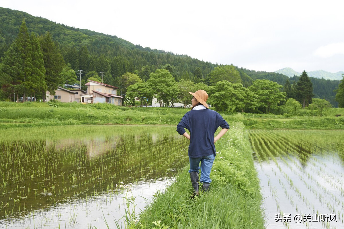 农村老话说：“挂帐怕遇三十六”，“三十六”有啥可怕的呢？