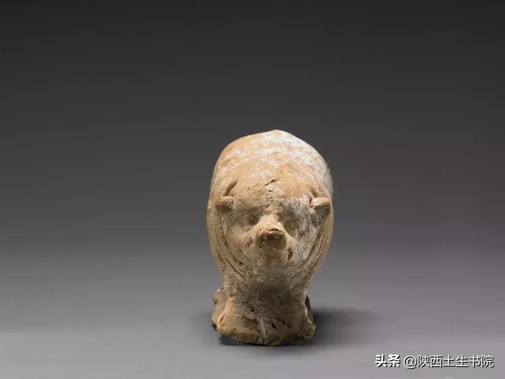 猪，在古希腊是幼儿的守护神