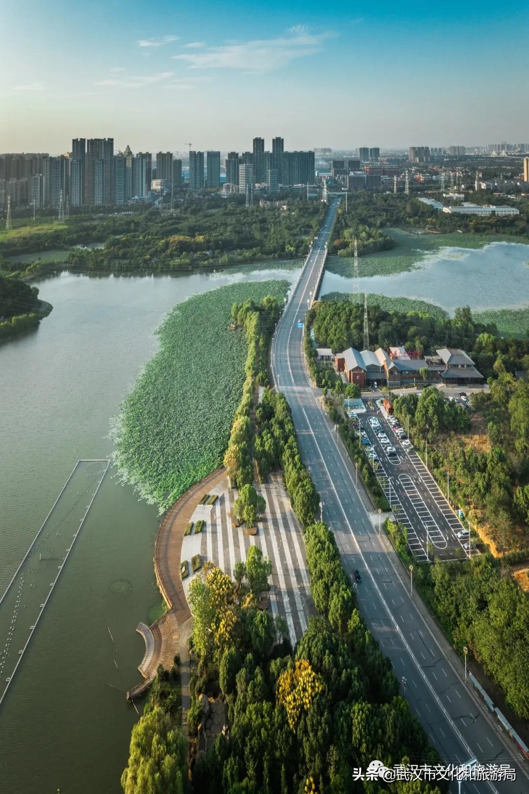 蔡甸区游玩,蔡甸在哪里