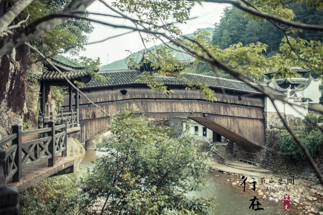 比乌镇安静比南浔古朴,藏不住了这里有最炫秋色