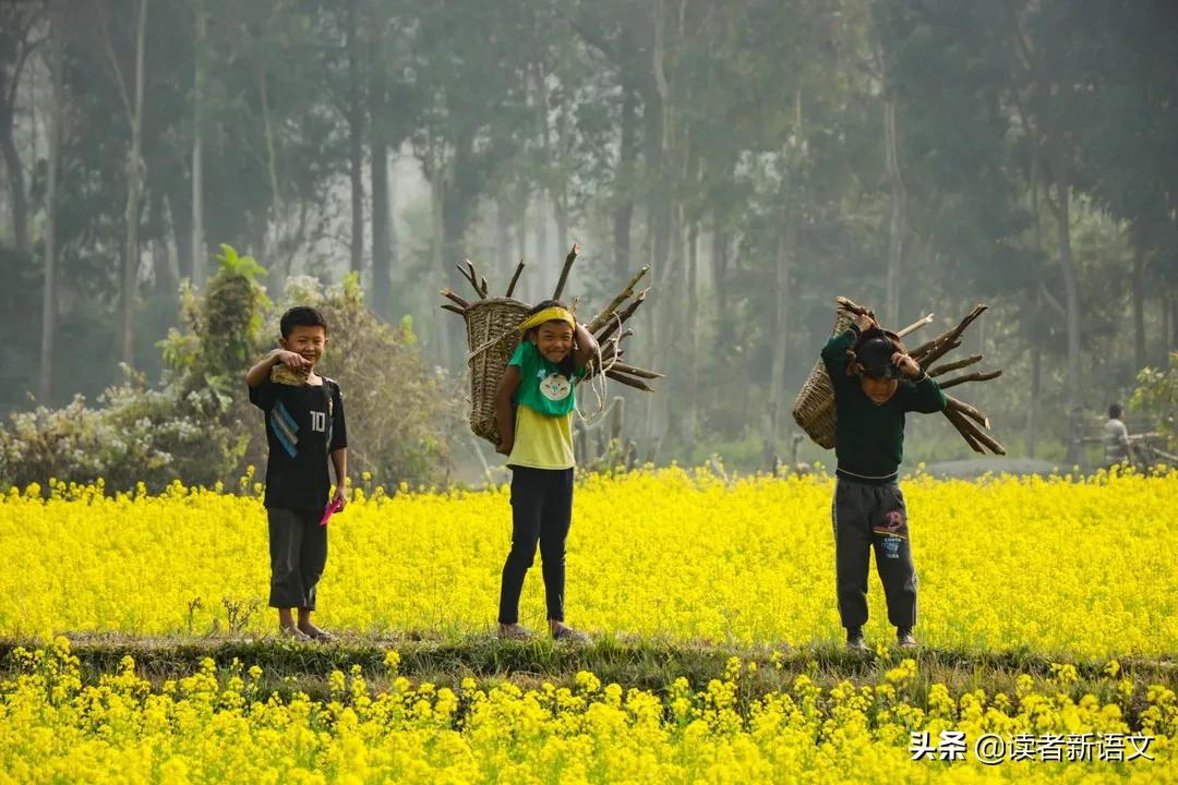 俞敏洪说离家越远越好视频,俞敏洪谈上大学离父母越远越好