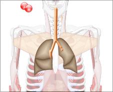 早期肺癌术后第五年又出现结节,肺癌术后20多天伤口不愈合流液体