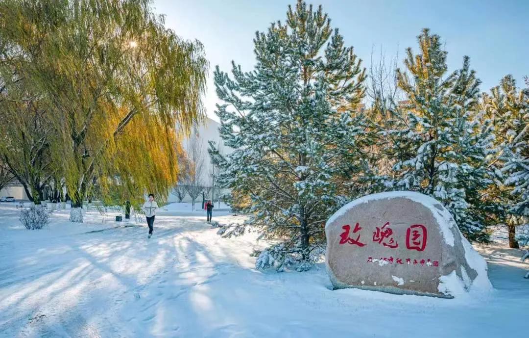 外面零下20℃，绿岛却沸腾了...