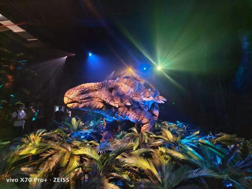 镜头眩光怎么处理ps,镜头眩光控制是什么