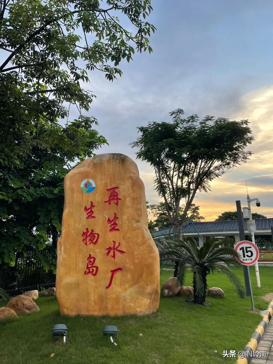 水滴花园，水下森林，这个小岛上的水可太美了