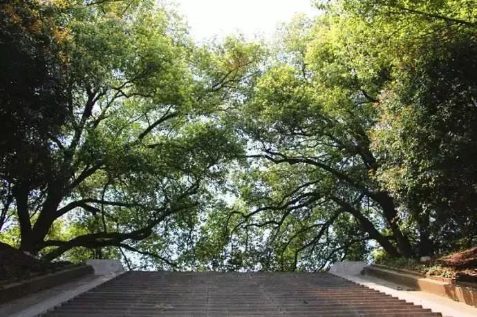 南京有哪些免费公园,南京象山湖公园免费攻略