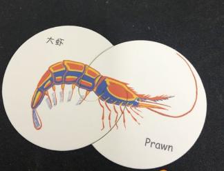 嗯哼霍思燕的教育方法特别好,霍思燕是如何培养嗯哼的高情商的