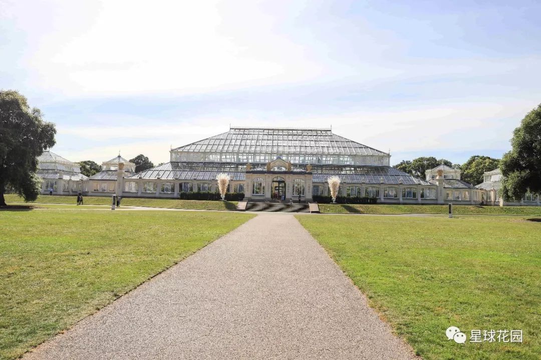 二木带你游花园|邱园（kewgarden）离我们到底有多远？