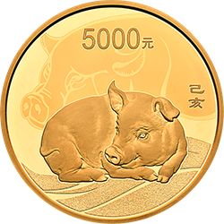 欣赏猪币，美美猪年！