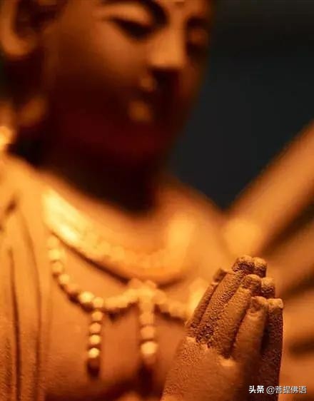 阿弥陀佛经典偈语语录摘抄,佛语阿弥陀佛感悟人生