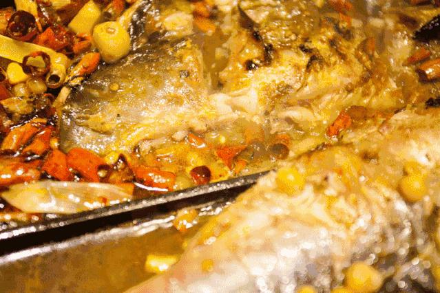 聚feel成都攻略,聚feel