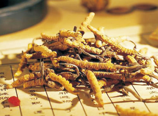 冬虫夏草神药走下神坛,冬虫夏草是神药