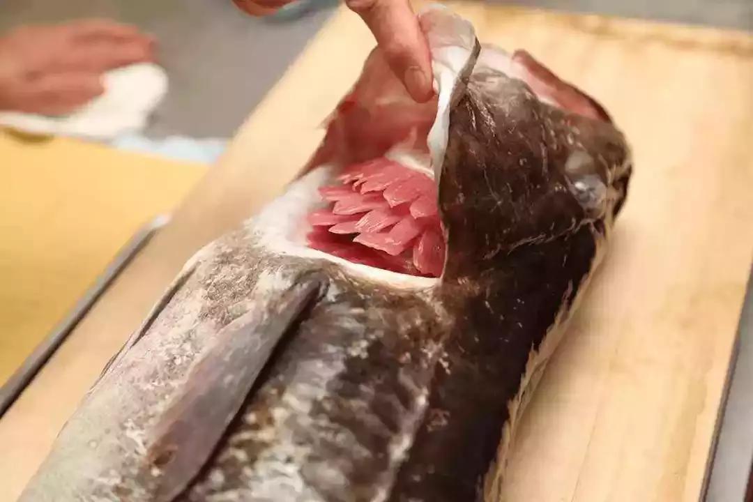 快死的鱼放到河里还能活吗,快死的鱼还在挣扎能活吗