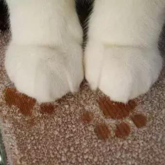 北京海淀区新建的公园,海淀新开放公园